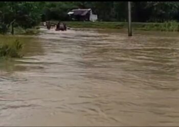 Banjir merendam akses jalan dari Kecamatan Pagelaran menuju Kecamatan Patia, Kabupaten Pandeglang. (ISTIMEWA)