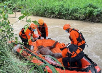 Truk Tambang Disorot, Polda Banten Gelar Rakor Pengendalian Jam Operasional di Cilegon