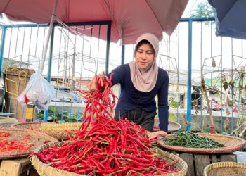 Harga Cabai Mulai Menurun di Kota Tangerang, Giliran Bawang Putih