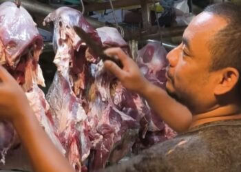 MENJUAL DAGING : Seorang pedagang daging di Kabupaten Lebak memeriksa ketersediaan daging di lapaknya. (DOKUMEN/SATELITNEWS.COM)