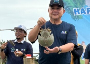 Tanam Mangrove dan Tebar Mimi, Pemkab Tangerang Peringati HPSN di Pesisir Mauk