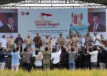 PANEN RAYA - Yayasan Bhakti Bela Negara, menggelar Panen Raya Padi seluas 753 hektar di Desa Sukarame, Kecamatan Carita, Kabupaten Pandeglang, Rabu (11/2/2026). (ISTIMEWA)