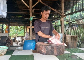 Ayam Rp33 Ribu, Cabai Rp170 Ribu, IRT Tigaraksa Menjerit