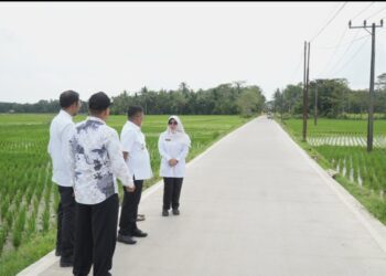 TINJAU PEMBANGUNAN JALAN - Gubernur Banten Andra Soni, didampingi Kepala DPUPR Provinsi Banten Arlan Marzan, beserta Bupati Pandeglang Raden Dewi Setiani, meninjau jalan program Bang Andra, Kamis (26/2). (ISTIMEWA)