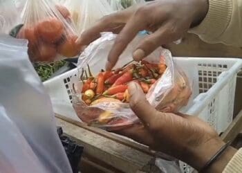 Harga Cabai Setan di Lebak Tembus Rp 120 Per Kg