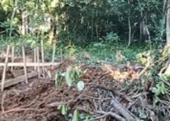Proyek Koperasi Merah Putih Gusur Makam Ratusan Tahun, Warga di Lebak Marah