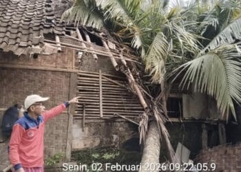 Pemilik Sedang Tidur, Rumah Warga di Lebak Tertimpa Pohon Kelapa Tumbang