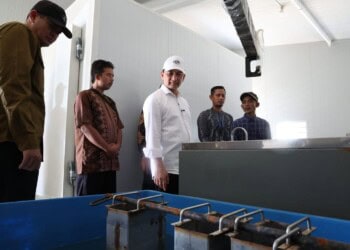 MENINJAU : Wagub Banten Achmad Dimyati Natakusumah, meninjau KNMP Cikiruhwetan, Kecamatan Cikeusik. (ISTIMEWA)