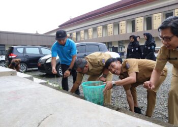 ASN Pemkab Serang, bersih - bersih lingkungan perkantoran dalam rangka mewujudkan Indonesia asri. (ISTIMEWA)