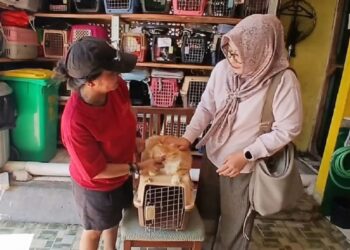 Jelang Lebaran, Tempat Penitipan Hewan di Tangsel Kelebihan Kapasitas