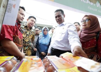 Pemerintah Pastikan Stok Pangan Aman, Stok Beras 6 Juta Ton