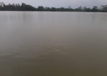 Lahan persawahan di Teluk Lada, Kecamatan Sobang, Kabupaten Pandeglang, terendam banjir. (ISTIMEWA)