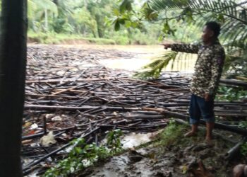 Material sampah kayu, bambu dan campuran sampah lainnya, menumpuk di Sungai Ciseukeut, Kampung Bojong Kacang, RT 003 RW 006, Desa Mekarsari, Kecamatan Sobang, Kabupaten Pandeglang, Minggu (19/4/2026). (MARDIANA/SATELITNEWS.COM)
