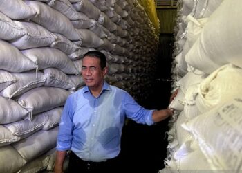 Indonesia Punya Stok Beras 4,5 Juta Ton, Diklaim Aman Untuk 11 Bulan