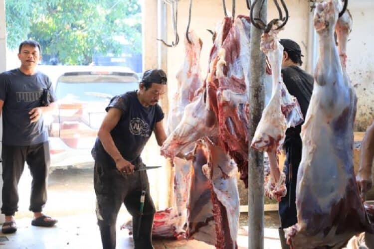 RPH Bayur Kota Tangerang Proses 45 Sapi Kurban Selama Iduladha
