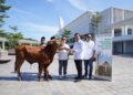 Sinar Mas Land Sebar 482 Hewan Kurban di Idul Adha 2026, Ada yang Unik!