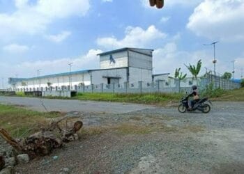 BERALIH FUNGI - Situ Ranca Gede Jakung, Kecamatan Binuang, Kabupaten Serang beralih fungsi. (DOKUMEN/SATELITNEWS.COM)