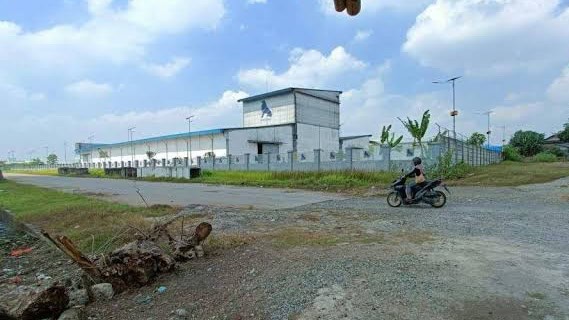 BERALIH FUNGI - Situ Ranca Gede Jakung, Kecamatan Binuang, Kabupaten Serang beralih fungsi. (DOKUMEN/SATELITNEWS.COM)