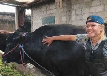 Pastikan Bebas PMK, 96 Petugas Periksa 35 Ribu Hewan Kurban di Kabupaten Tangerang