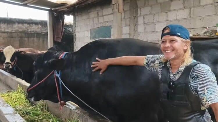 Pastikan Bebas PMK, 96 Petugas Periksa 35 Ribu Hewan Kurban di Kabupaten Tangerang
