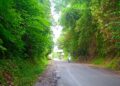 TANPA LAMPU PJU : Salah satu ruas jalan milik Provinsi Banten belum dilengkapi PJU. (ISTIMEWA)