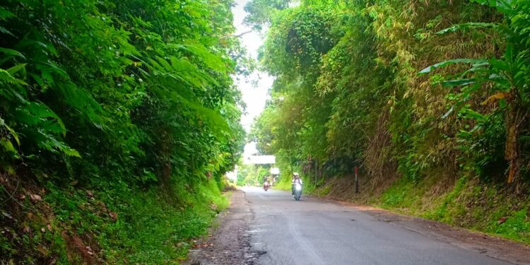 TANPA LAMPU PJU : Salah satu ruas jalan milik Provinsi Banten belum dilengkapi PJU. (ISTIMEWA)
