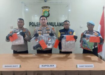 Anak Tega Bunuh Ibu Kandung di Pamulang, Ini Motifnya