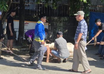 Rayakan Idul Adha 1447 H, Yayasan Pendidikan Pustek Serpong Kurban 2 Ekor Sapi