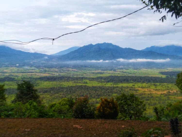 RAWA DANO - HAamparan Cagar Alam Rawa Dano, dengan latar belakang Gunung Karang dan Bukit Kemuning, bila dilihat dari spot Panenjoan, Desa Luwuk, Kecamatan Gunungsari. Terlihat pendangkalan di hamparan Rawa Dano. (MARDIANA/SATELITNEWS.COM)