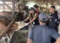 Jelang Iduladha, Peredaran Hewan Kurban di Lebak Diawasi Ketat