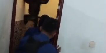 Evakuasi Berlangsung Dramatis, Seekor Lutung di Lebak Serang Petugas