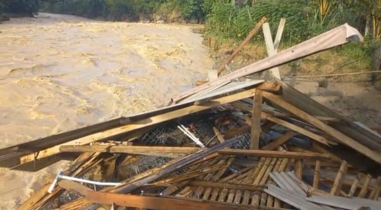 425 Ekor Ayam Petelur Milik BUMDes di Lebak Hanyut, Hanya Sisakan Puing