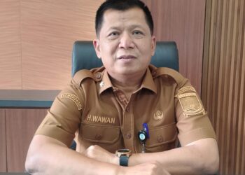 Kepala DPMPTSP Kabupaten Serang, Wawan Ikhwanudin. (ISTIMEWA)