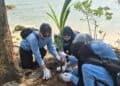 MENANAM POHON – Dalam rangka memperingati Hari Lingkungan Hidup Sedunia 2026, PT Indo Raya Tenaga (IRT) melaksanakan penanaman pohon, di Pulau Merak Kecil, Kota Cilegon, Provinsi Banten, Kamis (11/6/2026). (ISTIMEWA)