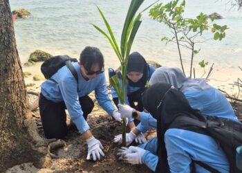 MENANAM POHON – Dalam rangka memperingati Hari Lingkungan Hidup Sedunia 2026, PT Indo Raya Tenaga (IRT) melaksanakan penanaman pohon, di Pulau Merak Kecil, Kota Cilegon, Provinsi Banten, Kamis (11/6/2026). (ISTIMEWA)