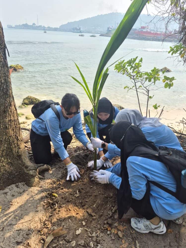 MENANAM POHON – Dalam rangka memperingati Hari Lingkungan Hidup Sedunia 2026, PT Indo Raya Tenaga (IRT) melaksanakan penanaman pohon, di Pulau Merak Kecil, Kota Cilegon, Provinsi Banten, Kamis (11/6/2026). (ISTIMEWA)