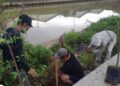 Sinergi Hijau, Gerakan Banten Teduh Tangerang Sejuk Targetkan Sejuta Pohon