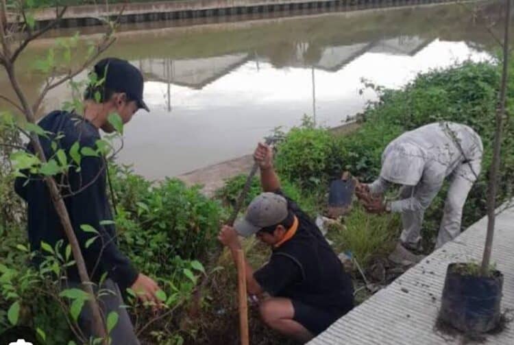 Sinergi Hijau, Gerakan Banten Teduh Tangerang Sejuk Targetkan Sejuta Pohon