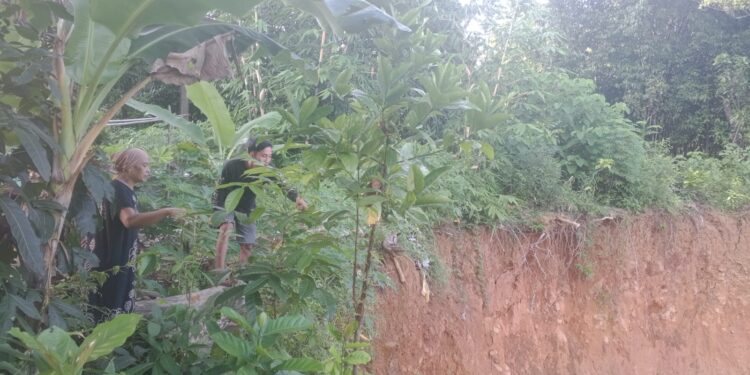 LONGSOR - Tanah tebing di area Hunian Tetap (Huntap), Kampung Palimping RT 02 RW 03, Desa Tunggal Jaya, Kecamatan Sumur, Kabupaten Pandeglang, longsor. (ISTIMEWA)