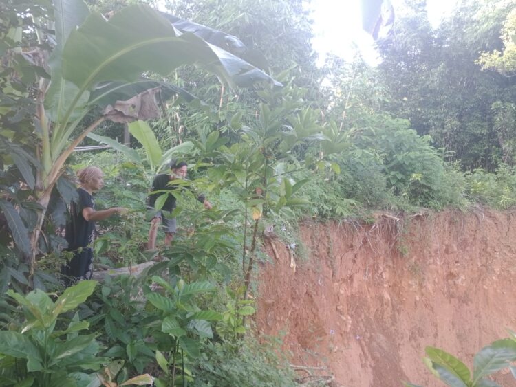 LONGSOR - Tanah tebing di area Hunian Tetap (Huntap), Kampung Palimping RT 02 RW 03, Desa Tunggal Jaya, Kecamatan Sumur, Kabupaten Pandeglang, longsor. (ISTIMEWA)