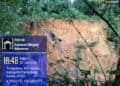 LONGSOR - Tanah tebing di Kampung Palimping RT 02 RW 03, Desa Tunggal Jaya, Kecamatan Sumur, Kabupaten Pandeglang, longsor dan nyaris mengikis pemukiman warga. (ISTIMEWA)