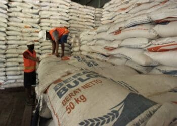 Serapan Gabah Bulog Lebak-Pandeglang Lewati 50 Ribu Ton