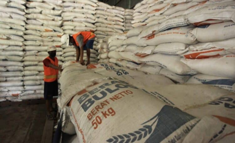 Serapan Gabah Bulog Lebak-Pandeglang Lewati 50 Ribu Ton