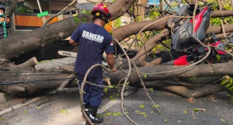 Pohon Tumbang Tutup Jalan Daan Mogot Tangerang, Pengendara Motor Terluka Ringan