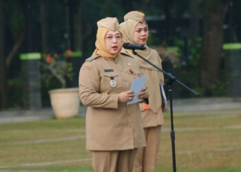 Wabup Tangerang Apresiasi Kolaborasi Penanganan Kebakaran TPA Jatiwaingin