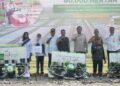 GERAKAN TANAM PADI - Bupati Dewi Setiani, saat menghadiri Gerakan Tanam Padi Serentak Nasional seluas 50.000 hektare, yang digelar di Desa Sukalangu, Kecamatan Saketi, Jumat (3/7/2026). (ISTIMEWA)