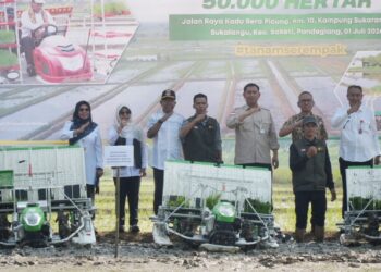 GERAKAN TANAM PADI - Bupati Dewi Setiani, saat menghadiri Gerakan Tanam Padi Serentak Nasional seluas 50.000 hektare, yang digelar di Desa Sukalangu, Kecamatan Saketi, Jumat (3/7/2026). (ISTIMEWA)