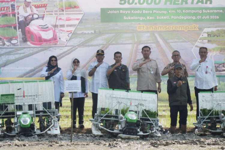 GERAKAN TANAM PADI - Bupati Dewi Setiani, saat menghadiri Gerakan Tanam Padi Serentak Nasional seluas 50.000 hektare, yang digelar di Desa Sukalangu, Kecamatan Saketi, Jumat (3/7/2026). (ISTIMEWA)