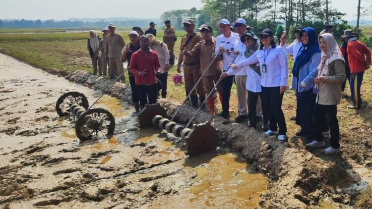 MENGOLAH SAWAH : Pegawai Distan Banten bersama warga Kecamatan Cisata, Kabupaten Pandeglang mengolah sawah melalui program PM-AAS. (ISTIMEWA)