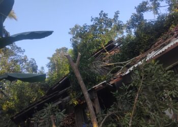 RUMAH AMBRUK - Pohon tumbang menimpa rumah warga, hingga ambruk dan rusak berat, Rabu (15/7/2026) malam. (ISTIMEWA)